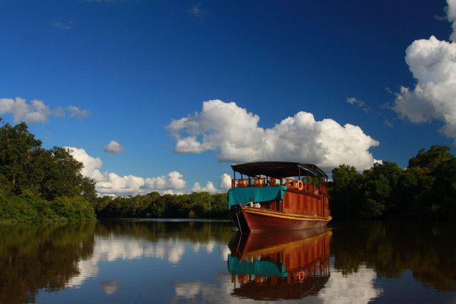 Kalimantan. Orangutan River Cruise - Photo 6