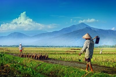 Easy Travel Indonesia (11D/10N)