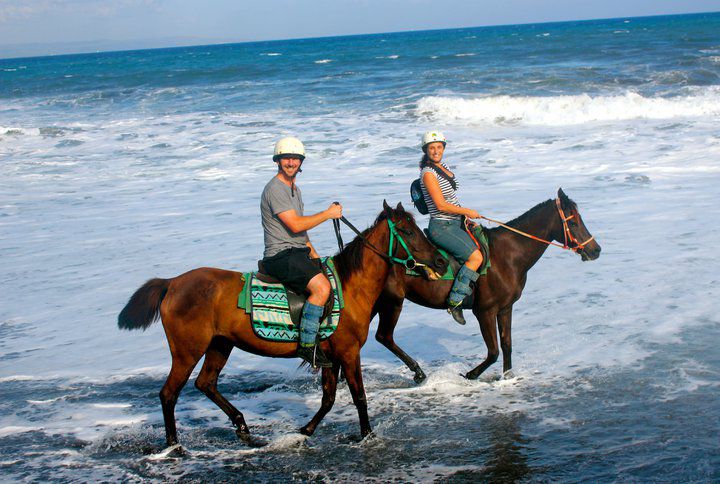 Beach Horseriding - Photo 2