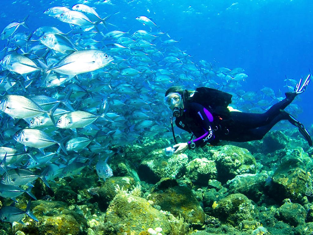 Diving Nusa Dua - Photo 3