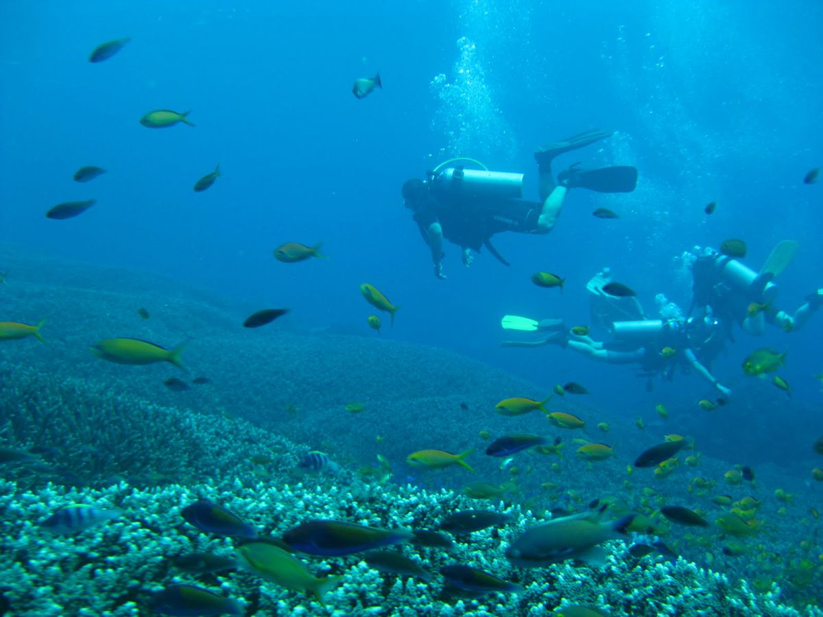 Diving Nusa Dua - Photo 5