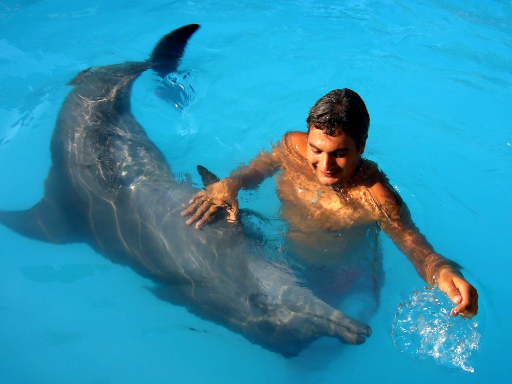 Swimming with dolphins - Photo 4