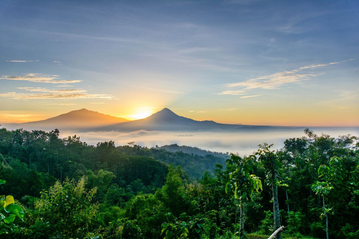 Borobudur & Plateau Dieng & Volcano Merapi - Photo 12