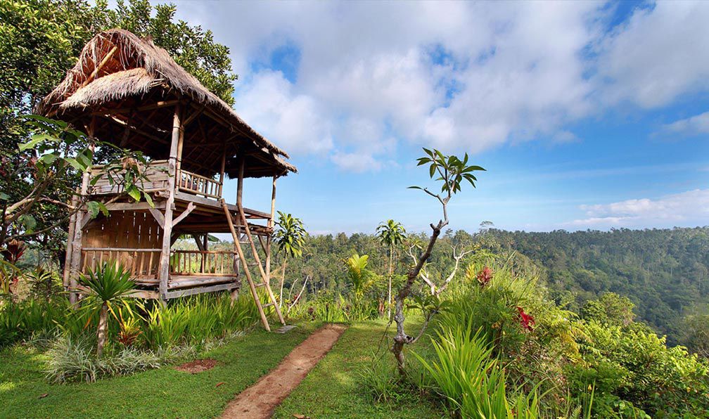 Nandini Jungle Resort & Spa Bali - Photo 6