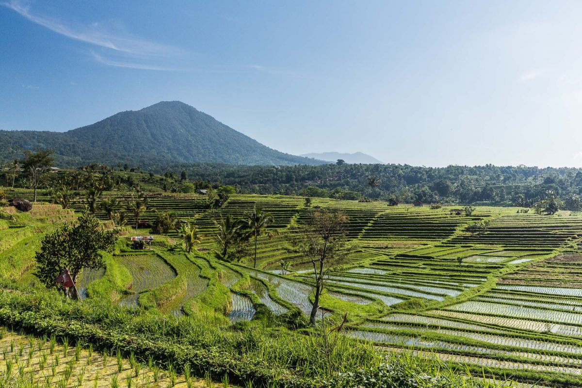 Menjangan & West Bali National Park 3D/2N - Photo 17