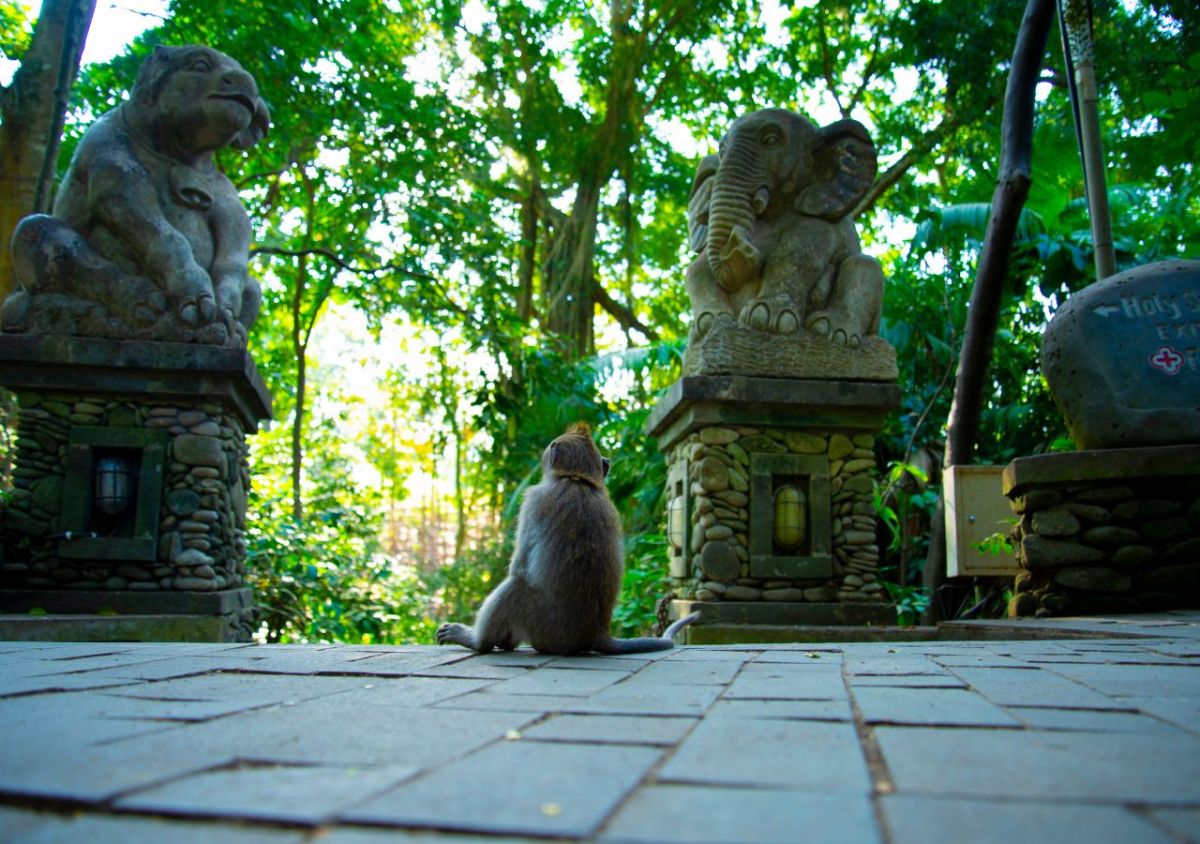 Jannata Resort Ubud - Photo 7