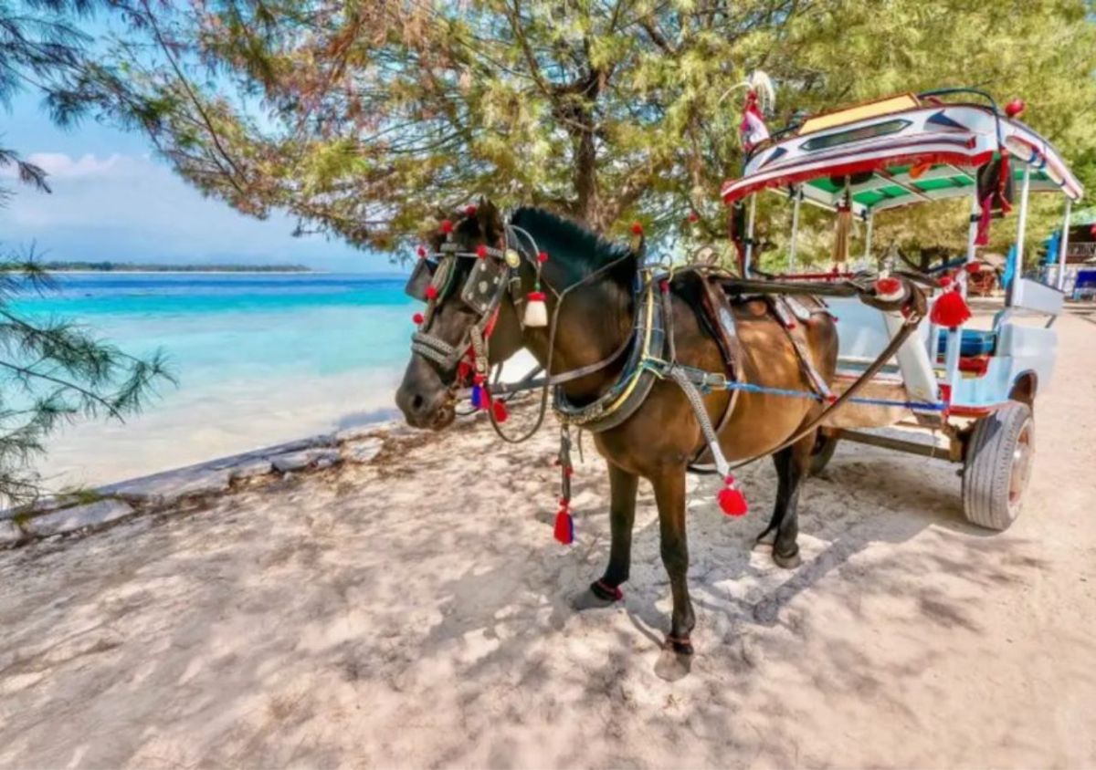 The Beach House Gili Trawangan - Photo 3