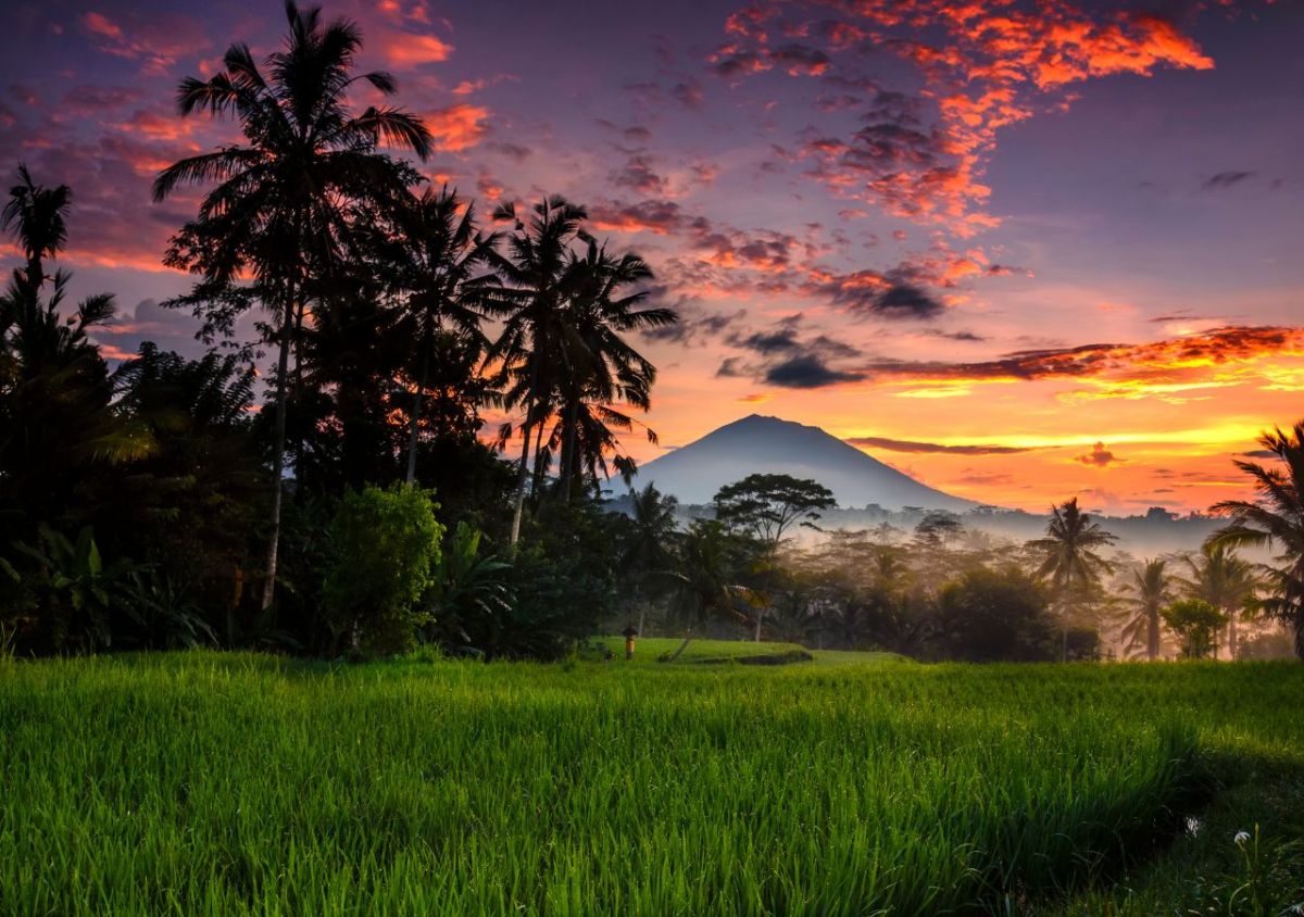 The Lohka Ubud - Photo 1