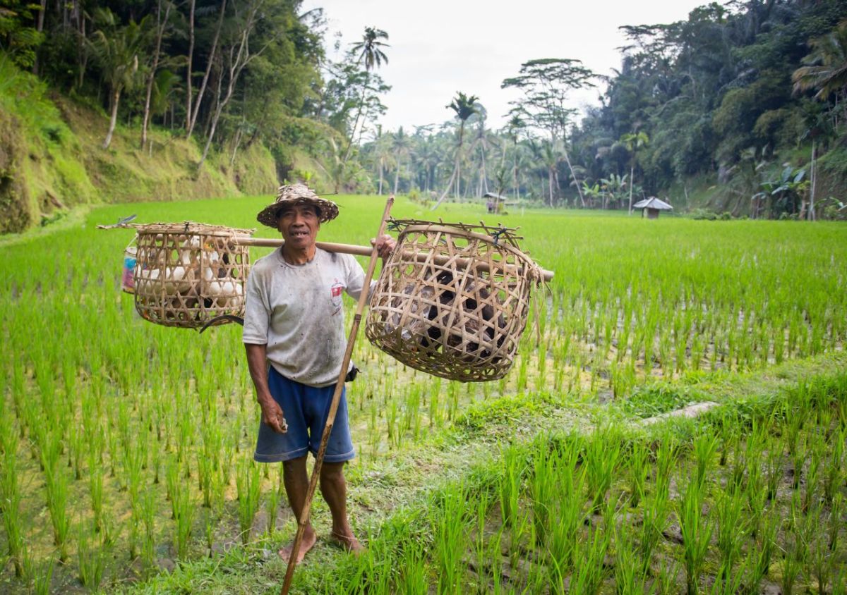 The Lohka Ubud - Photo 9