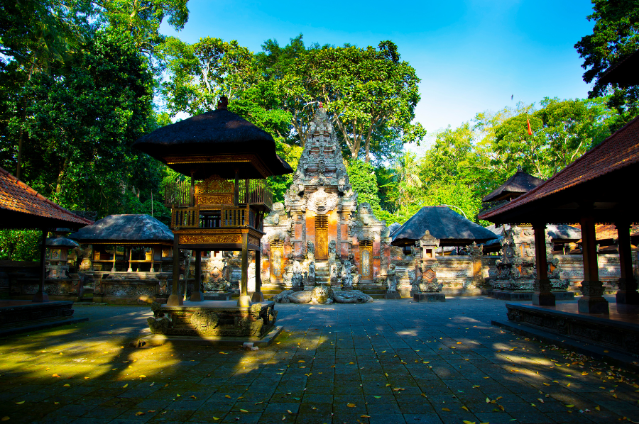Animals of Bali - Photo 9