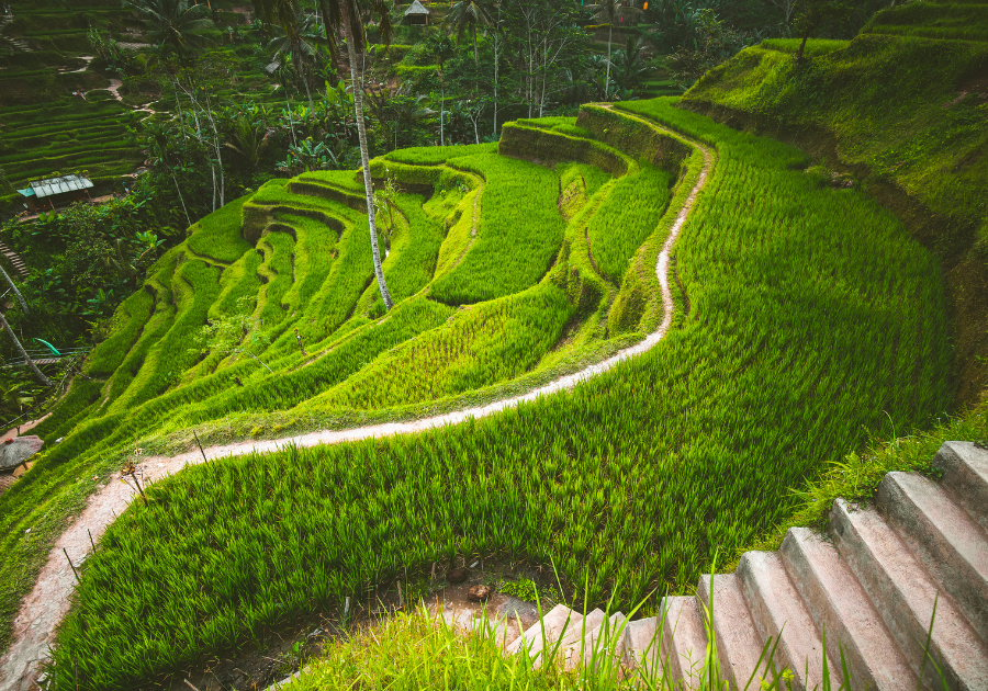 Amora Ubud - Photo 2