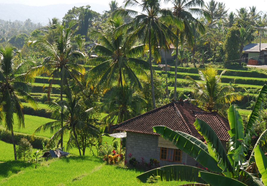 Amora Ubud - Photo 3