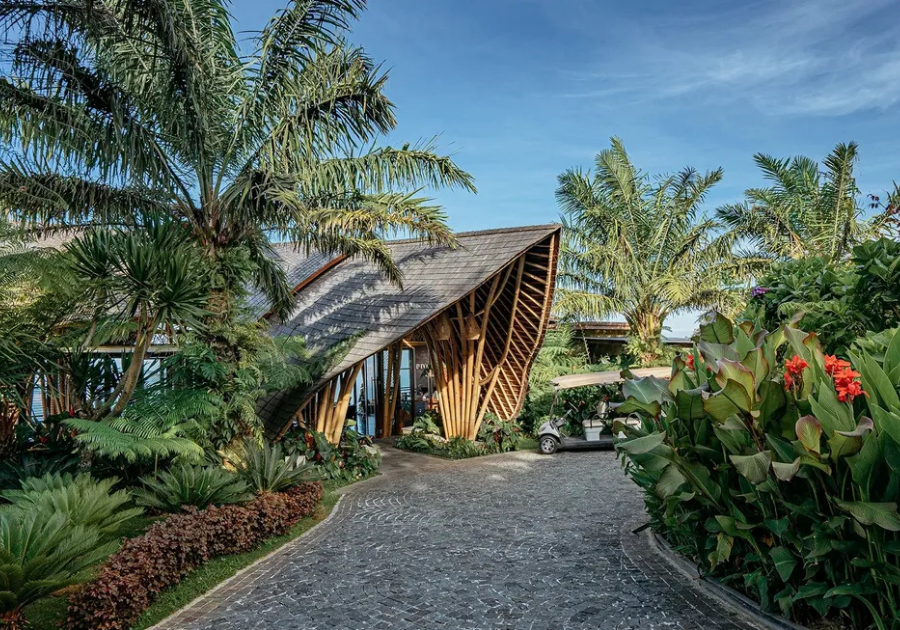 Elevate Bali - Photo 5