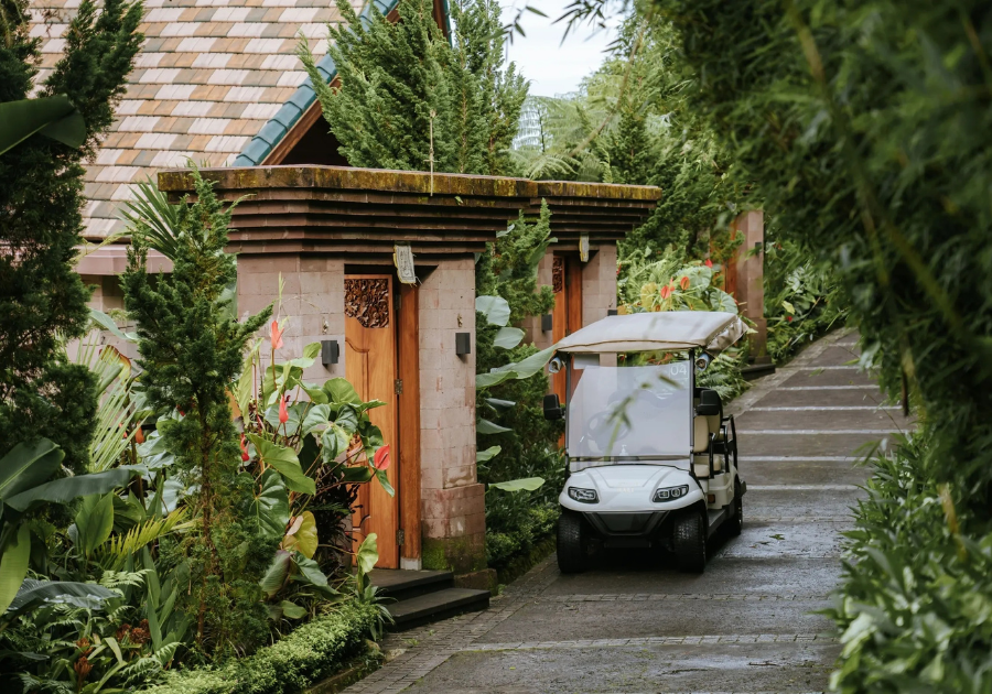 Elevate Bali - Photo 9