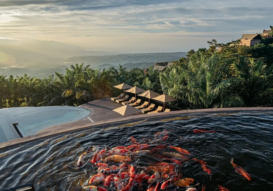 Elevate Bali - Photo 7