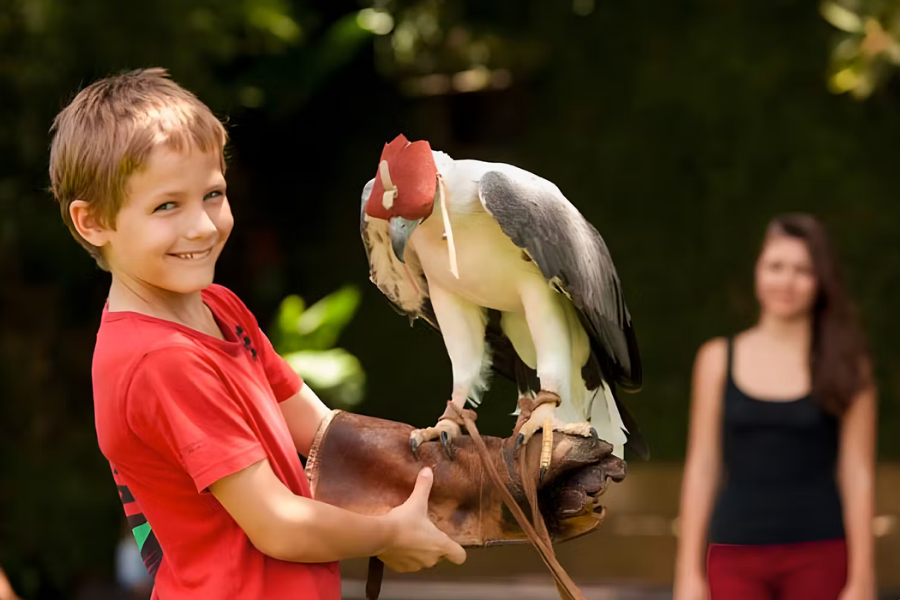 Animals of Bali - Photo 8