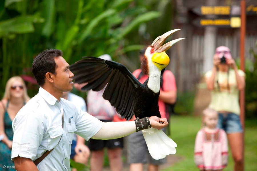Animals of Bali - Photo 2