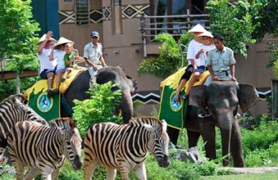 Bali Safari Park. Package "Leopard"