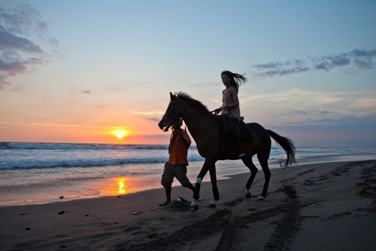 Beach Horseriding - Photo 5