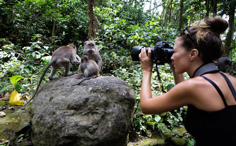 Animals of Bali - Photo 7