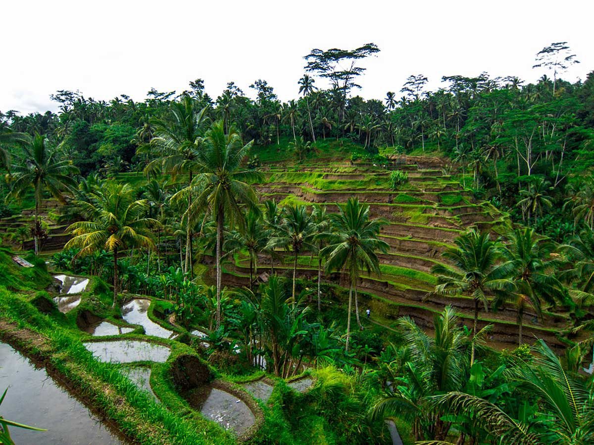 Village of the Dead - Photo 10